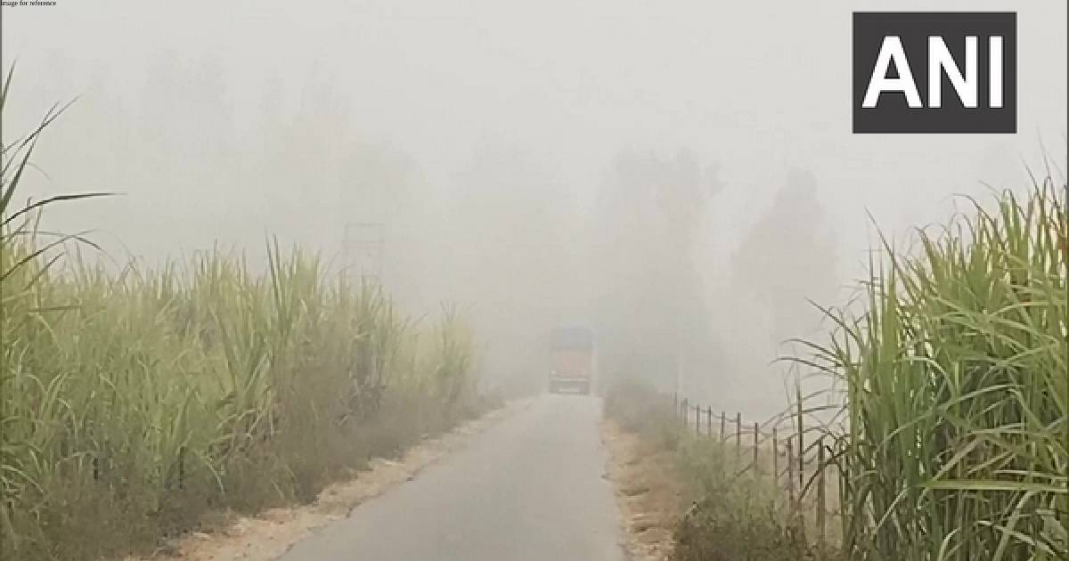 Punjab: Dense fog condition continue to prevail in Pathankot